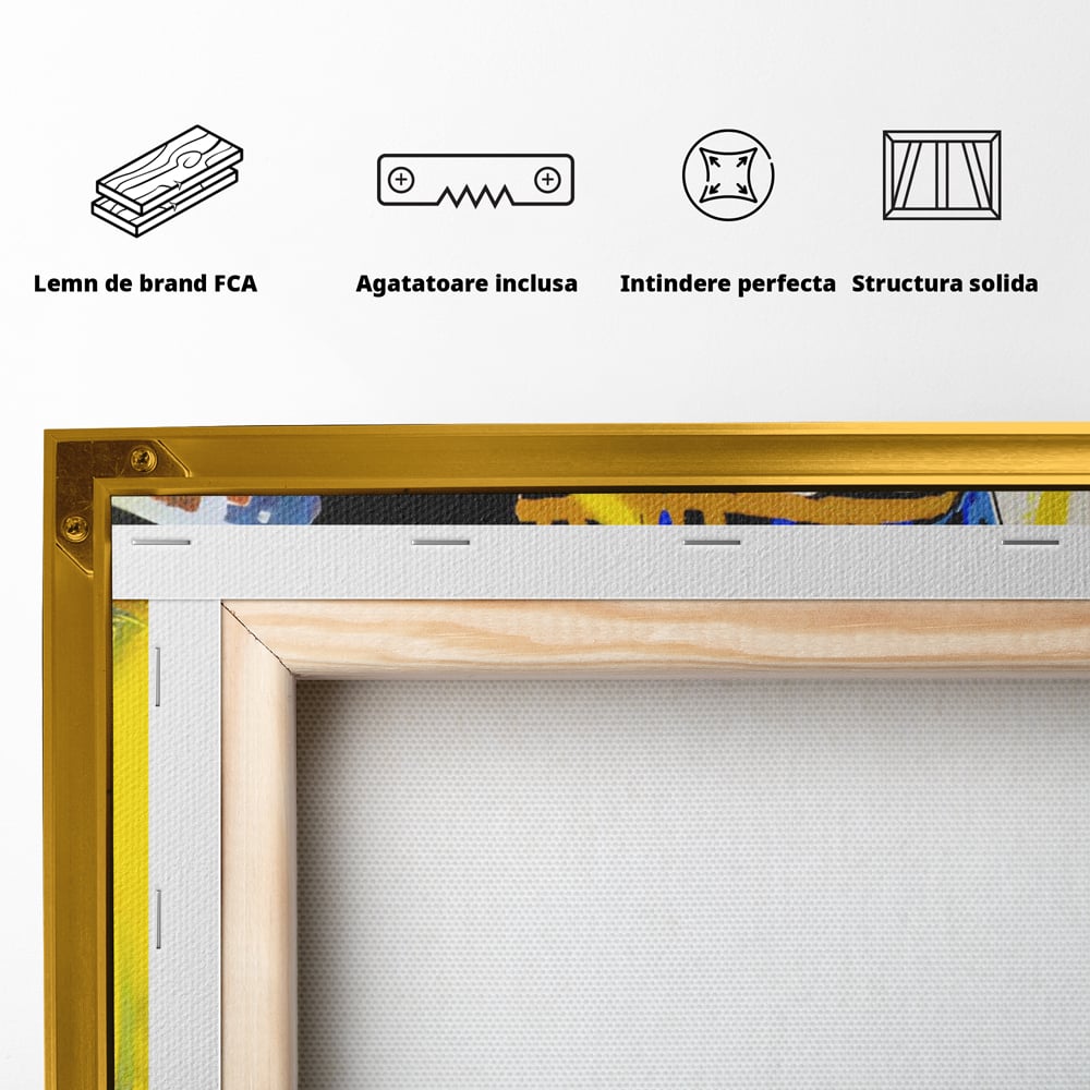 Spatele produsului, cu sasiu din lemn, capse metalice si agatatoare